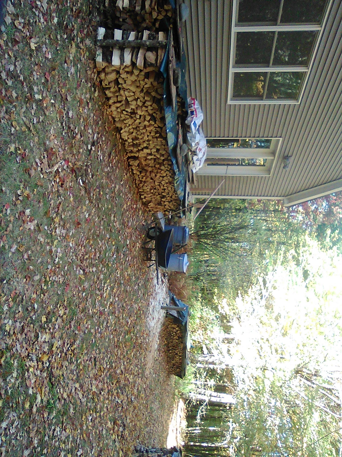 Fall 2026 photograph IMG_0100.jpg